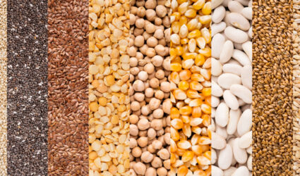 Different types of bulk grains ACS Valves